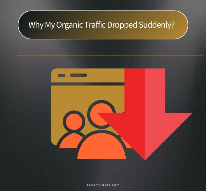 Why My Organic Traffic Dropped Suddenly